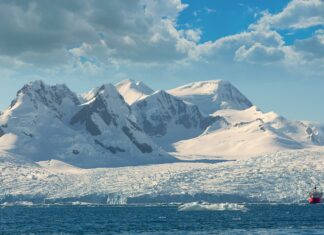 Śladami dzikiej przyrody Gór Stirling