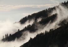 Apeniny od północy po południe – przewodnik dla początkujących