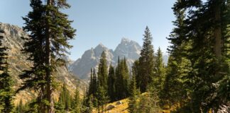 Jesienne szczyty Grand Teton w Wyoming w paśmie Gór Skalistych
