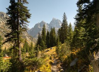 Jesienne szczyty Grand Teton w Wyoming w paśmie Gór Skalistych